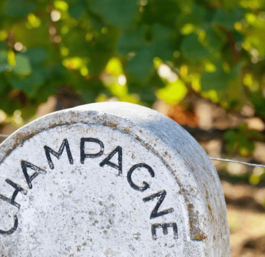 Champagne 2025