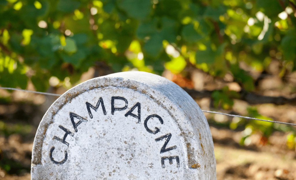 Champagne 2025