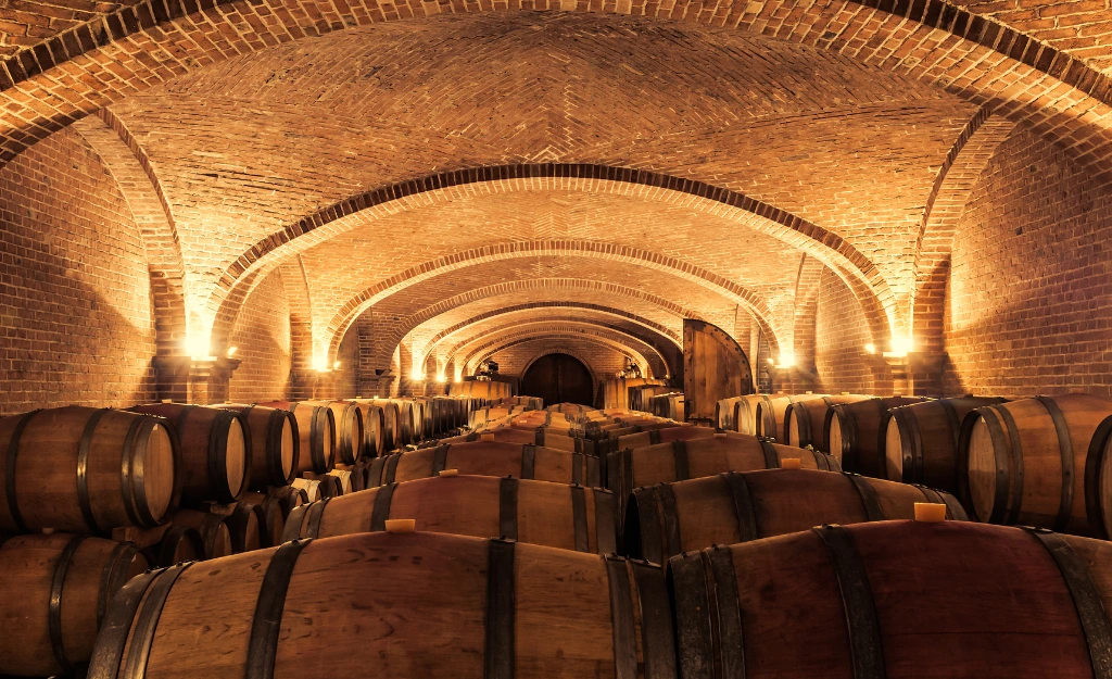 Large Wine Cellar