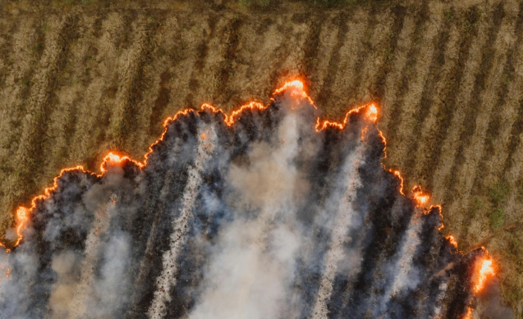 Bordeaux Wildfires July 2026