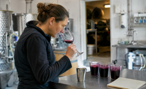 Winemaker assessing red wine for possible smoke taint