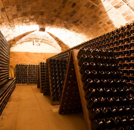 Champagne Cellar France