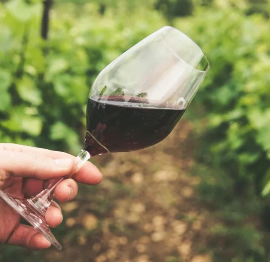 Wine Tannins