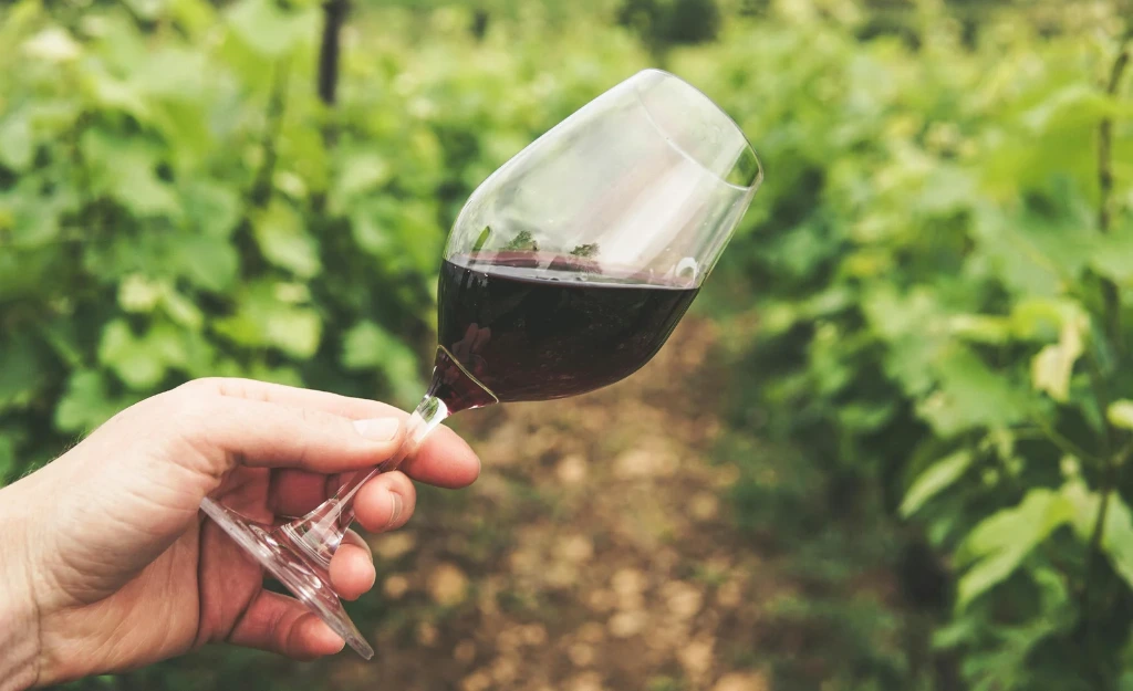 Wine Tannins